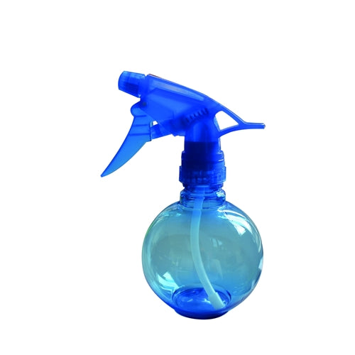 Fortune Spray Bottle - Small