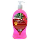 Nature's Collection Antibacterial Liquid Hand Soap, Raspberry Rain 33.8oz