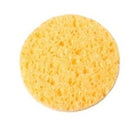 Dream World Celluloid Cosmetic Sponge