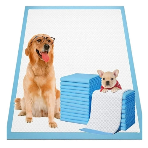 Puppy & Co Training Pads 22"X22"