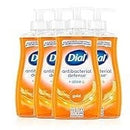Dial Antibacterial Defense Hand Soap 325ml
