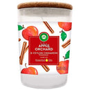 Air Wick Essential Oils Apple Orchard & Ceylon Cinnamon Scented Candle -185 g