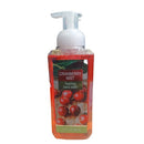Cranberry Mist Foaming Hand Wash 13.5 fl oz