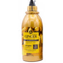 Pajiani Ginger Extract Organics Care Hair Shampoo 850ml