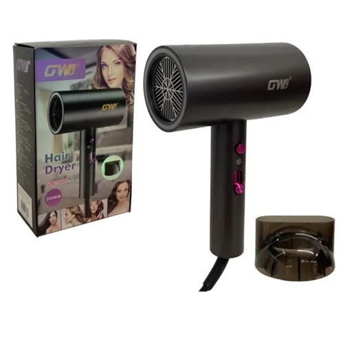 GW Hair Dryer 2000W