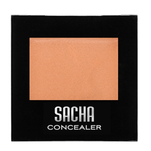 SACHA FIX IT CONCEALER