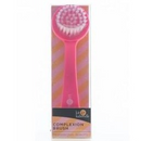 Kit & Kaboodle Complexion Brush