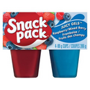 Snack Pack Juicy Gels, Raspberry/Mixed Berry 3.25oz - 4 Count