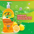 Nature's Collection Antibacterial Hand Soap, Lemon 250ml