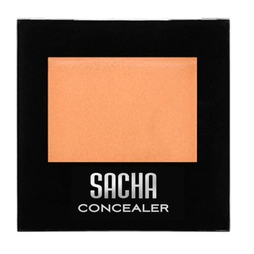 SACHA FIX IT CONCEALER