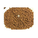 Bes Friend Fish Pellet 100g