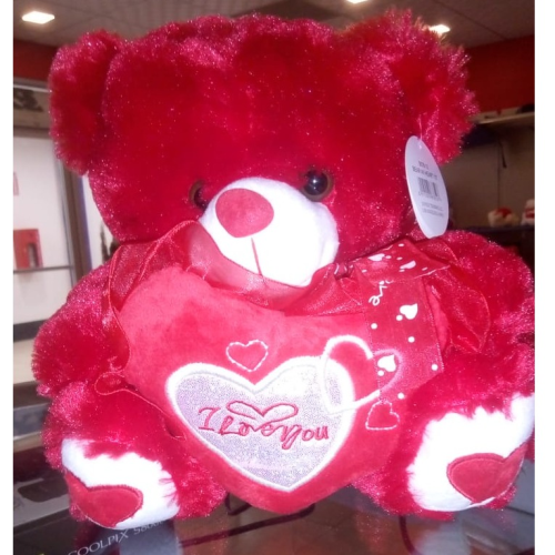 TEDDY BEAR WITH HEART 10"