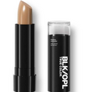 Black Opal True Color Flawless Perfecting Concealer