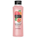 ALBERTO BALSAM PINK GRAPEFRUIT & GUAVA CONDITIONER 350ML
