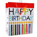 Happy Birthday Gift Bag, Single 7*9"