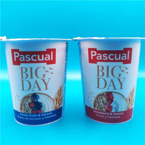 Pascual Big Day Yogurt, Single 125g