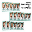 L'Oreal Paris Root Dye Rescue Set