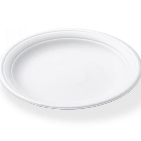 Termopac Biodegradable Sanitary Plates, 20s, 6"