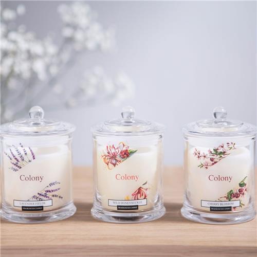 Colony Fragrance Large Candles