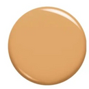 L'Oreal Paris Makeup Infallible Up to 24 Hour Fresh Wear Foundation