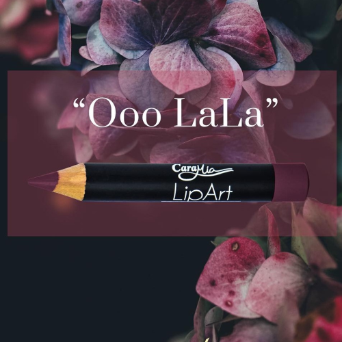 CARAMIA LIP ART MATTE LIPSTICK