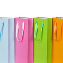 GIFT BAG ASSORTED SOLID COLOURS - 9*7"