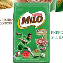 Milo Activ-Go Malt & Cocoa Flavoured Mix