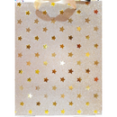 METALLIC STAR GIFT BAG