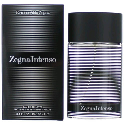 Ermenegildo Zegna Intenso