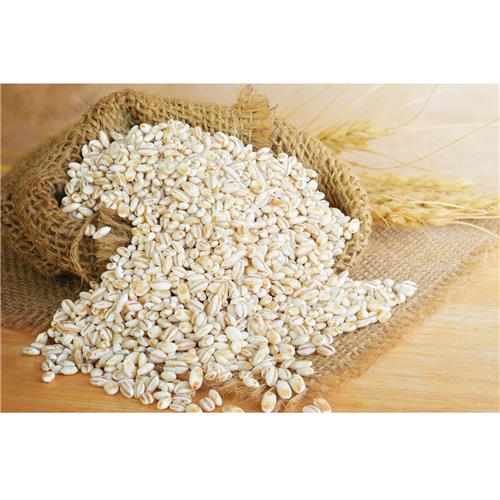 Cook's Mate Barley Seed 226g