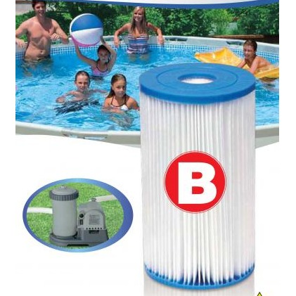 Intex Filter Cartridge