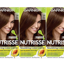 Garnier Nutrisse Nourishing Color Creme