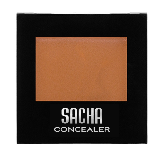 SACHA FIX IT CONCEALER